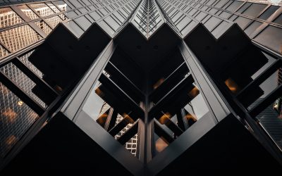 What is a Professional Employer Organisation (PEO) UAE