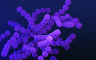 Coronavirus (Covid-19) and how HR should respond or create HR Policies?